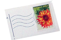 12 vykort